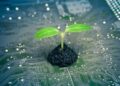 The Inevitable Rise of Green Computing Demand
